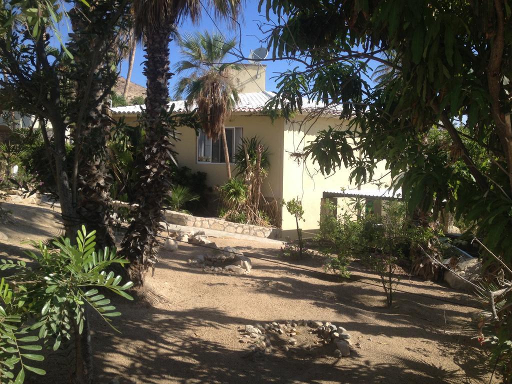 Surfer'S Paradise, Yoga&Food Garden@Costa Azul, Los Cabos San José del Cabo Exterior foto